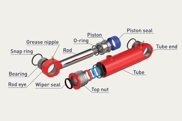 internal structure of cylinder