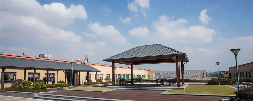 ABOUT US(3) SAIVS-Office-Space-Environment-3.webp